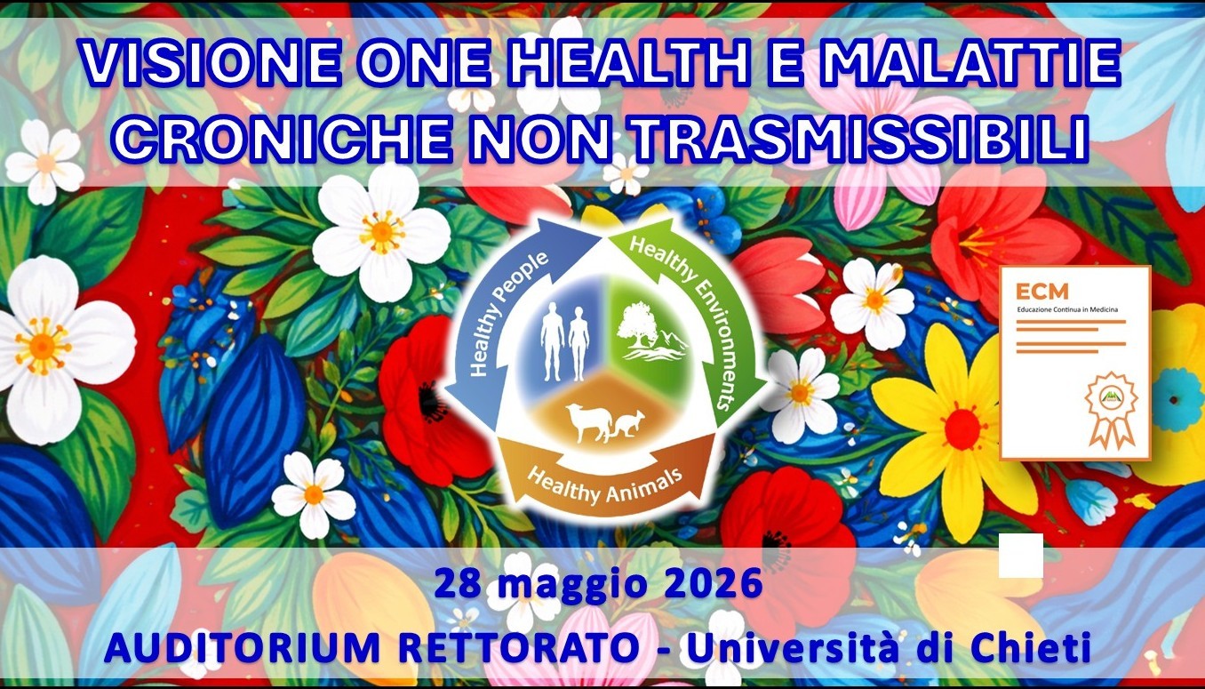 VISIONE ONE HEALTH E MALATTIE CRONICHE NON TRASMISSIBILI